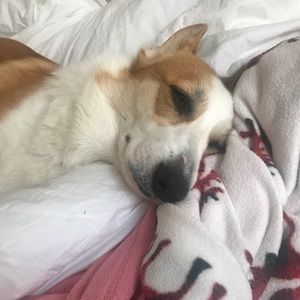 Meet your Posher, Hallie